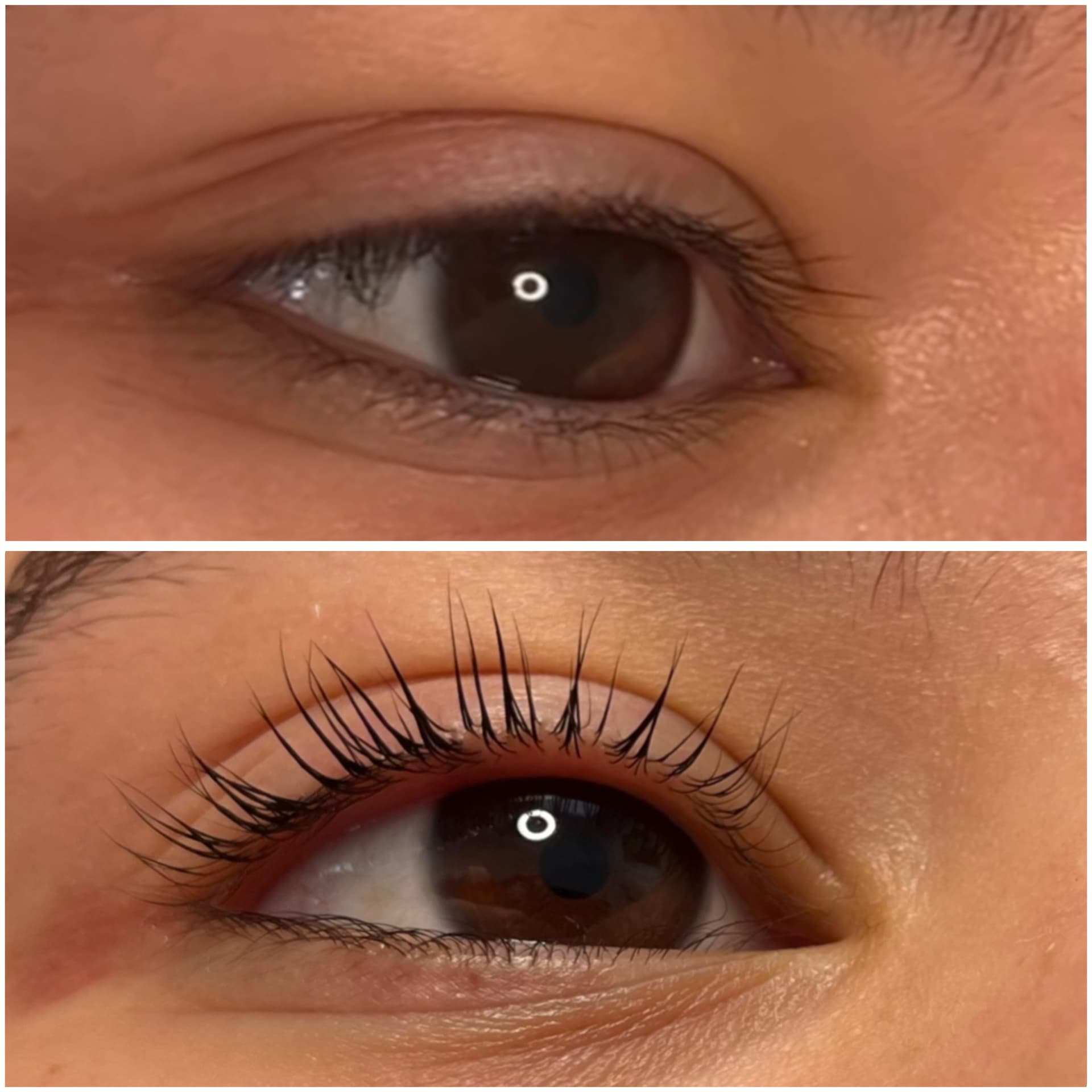 Close-up of professional lash lift service enhancing natural lashes